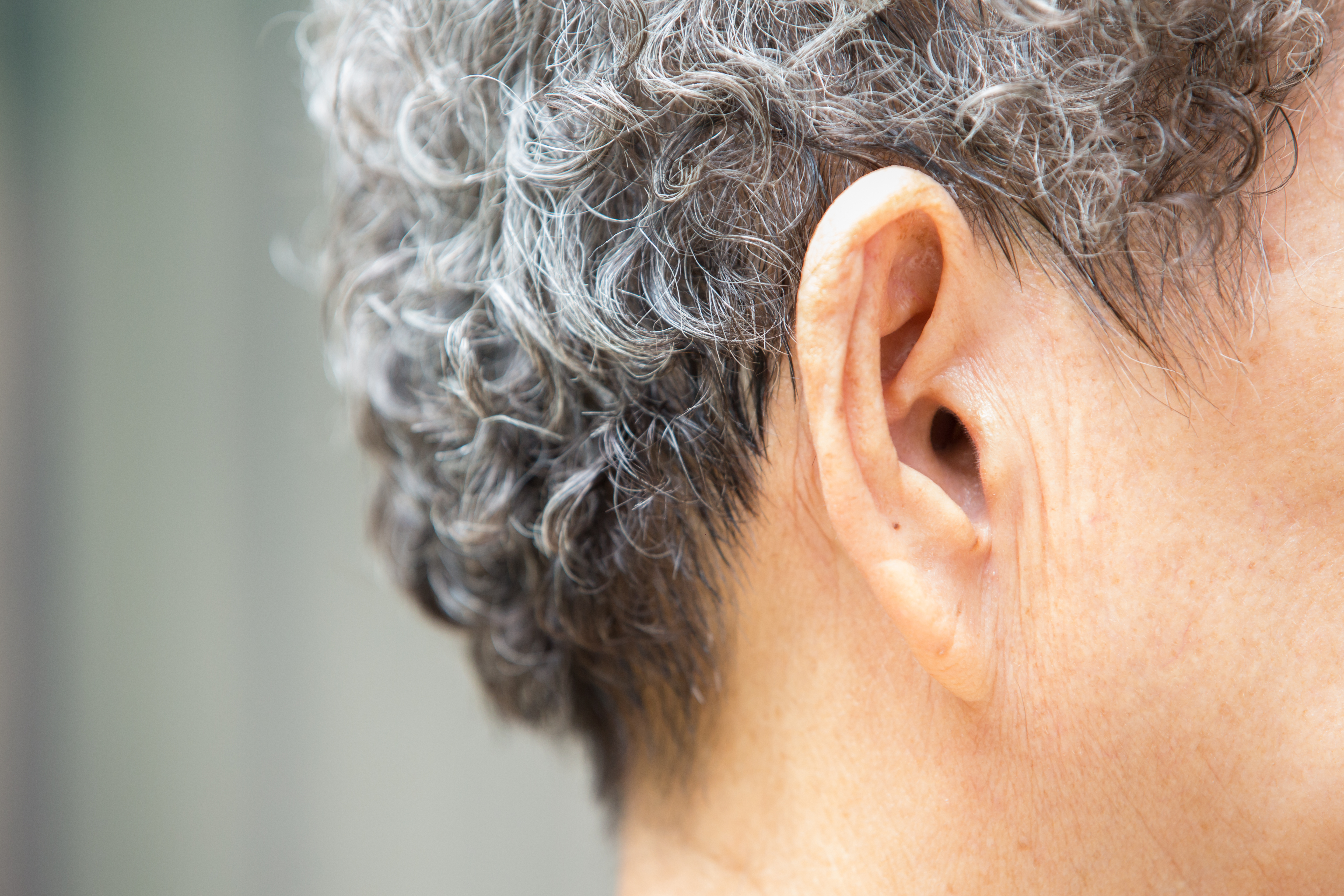 Older Adults Image 1