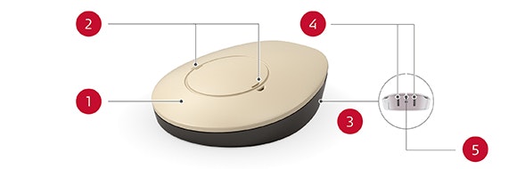 SAMBA2-QG panoramica