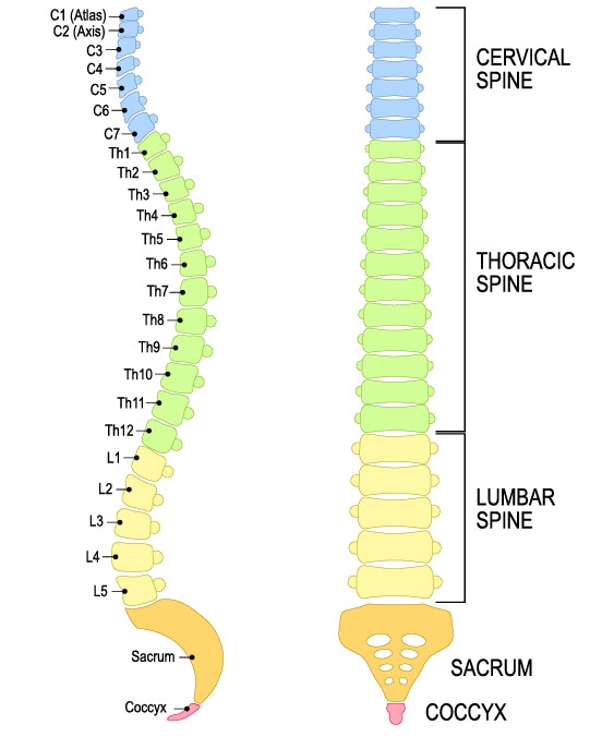 Forms of tetraplegia