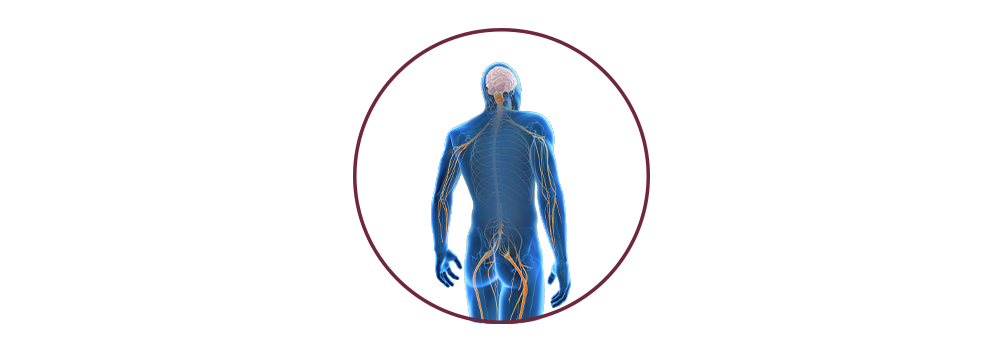 STIWELL® | Funktionelle Elektrostimulation (FES) bei Nervenschädigung